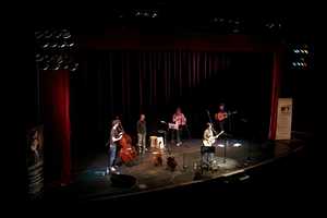 Photography, Alan Cole - Music Festival Photos